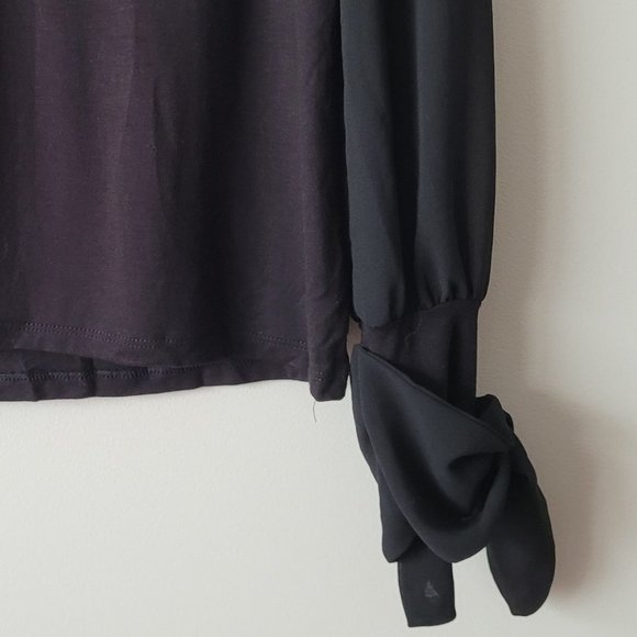 BLACK V-Neck Long Sheer Sleeve Blouse - Picture 5 of 9